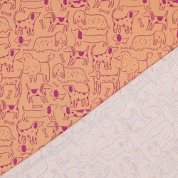 Baumwolljersey Hunde - pfirsich