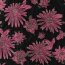 Jacquard Blumen - schwarz / PINK