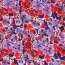 Viskose Jersey Digital Blumen - helllila/rot
