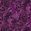 Viskose Jersey Digital Tiere SKIN - PURPLE