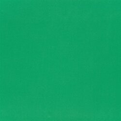 Viskose Jersey Medium Uni – wiesengrün