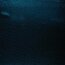 Folienjersey Punkte - wasserblau