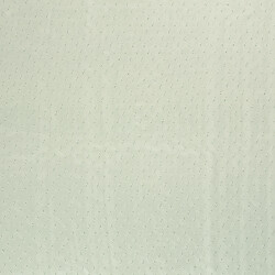 Chiffon Bestickt Punkte Uni  - hellaltmint