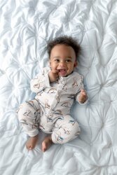 Baumwolljersey Bio~Organic kleine Dinos - salbei