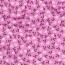 Baumwollpopeline Bio~Organic Blumen - PURPLE