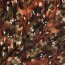 Polyester Satin Samt bunte Kunst - steinrot