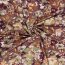 Viskose Jersey Blumen