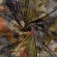Polyester Viskose Jersey Jacquard  Burnout Batik Vögel - oliv