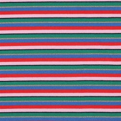Rippenjersey YARN DYED STRIPES - MULTICOLOUR