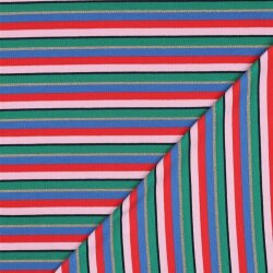 Rippenjersey YARN DYED STRIPES - MULTICOLOUR