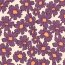 Wintersweat altpflaume Blumen - hellsand