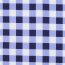 Beschichtete Baumwolle CHECKS - blau