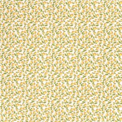 Funktions und Badeanzugstoff Recycled LSF50 Orangen - creme