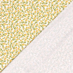 Funktions und Badeanzugstoff Recycled LSF50 Orangen - creme