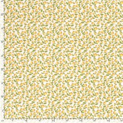 Funktions und Badeanzugstoff Recycled LSF50 Orangen - creme