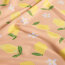 Funktions und Badeanzugstoff Recycled LSF50 Zitronen - lachs