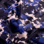 Funktions und Badeanzugstoff Recycled LSF50 Blumenschatten - dunkelblau