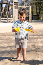 French Terry blaue Fahrzeuge - creme