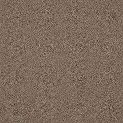 Teddystoff Doppelseitig Uni - taupe