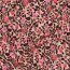 French Terry Digital Blumengeflecht - hellbeige/rot