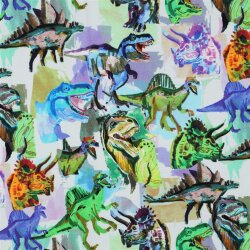 Ganzjahressweat Digital bunte Dinos - weiß