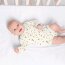 Baumwolljersey kleine Maiblümchen- creme