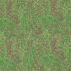 BORKEN CREPE YORYU SPOTS - FARBE