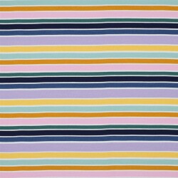 Baumwolljersey bunte Blockstreifen - blau