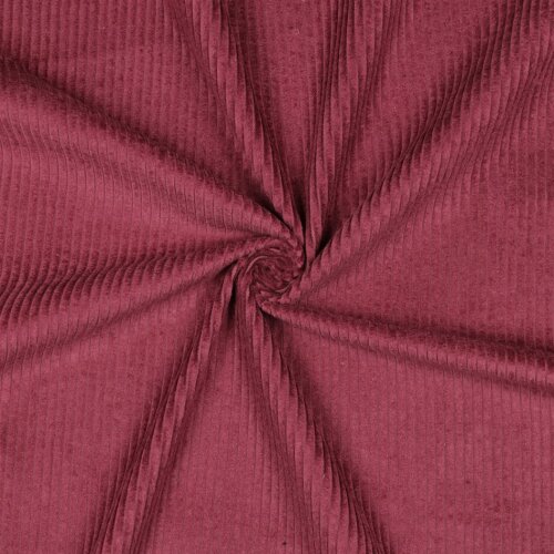 Breitcord *Vera* - beere