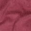 Breitcord *Vera* - beere