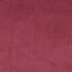 Breitcord *Vera* - beere