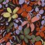 Viskose 100% bunte Blumen - dunkelbraun
