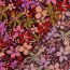 Viskose 100% bunte Blumen - aubergine