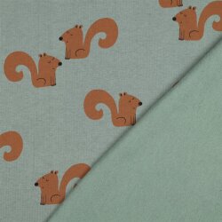 Wintersweat SQUIRRELS - altgrün