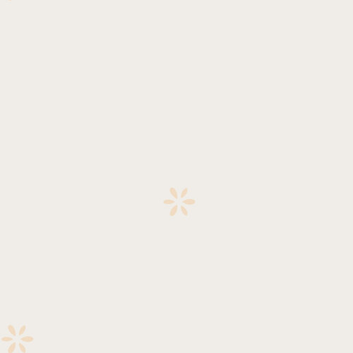 Musselin Bestickte Blümchen - creme