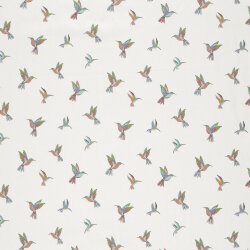 Baumwollpopeline bunte Kolibris - creme