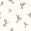 Baumwollpopeline bunte Kolibris - creme