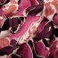 Baumwollsatin Blumen