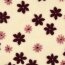 Teddystoff Blumenräder - creme
