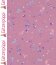Ganzjahressweat Glitzerpüppi Digital  Diamantherzen - altantikpink