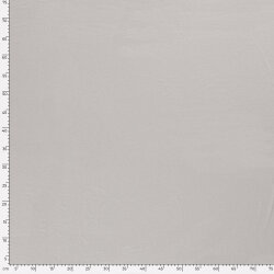 Viscose jersey *Marie* - zilvergrijs