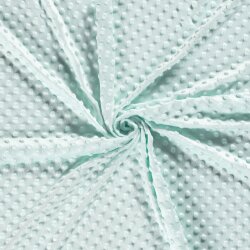 Minky Fleece *Marie* - menta ligera