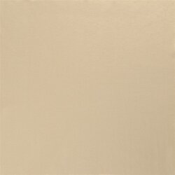 Wintersweat *Marie* angeraut schwere Qualität - beige