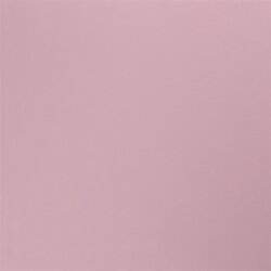 Winter zweet *Marie* geborstelde zware kwaliteit - koud zacht roze