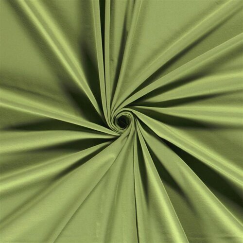Cotton jersey *Marie* - may green
