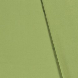 Cotton jersey *Marie* - may green