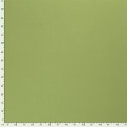 Cotton jersey *Marie* - may green