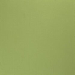 Cotton jersey *Marie* - may green