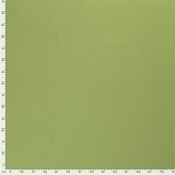 Cotton jersey *Marie* - may green