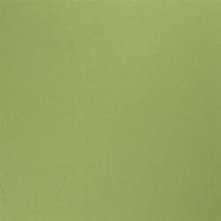 Cotton jersey *Marie* - may green